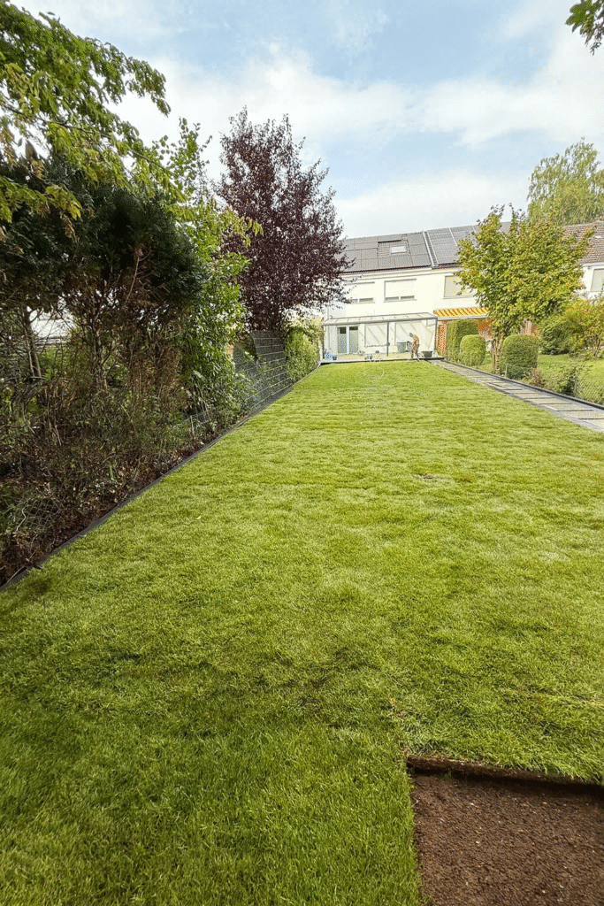 Rollrasen verlegen lassen Bochum